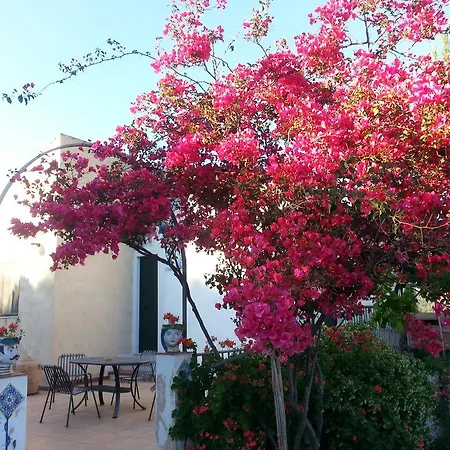 La Casa Dell'artista *