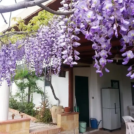 La Casa Dell'artista *