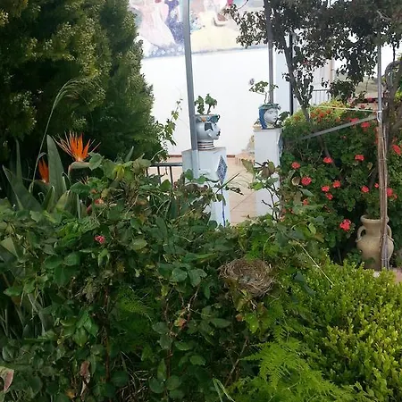Bed & Breakfast La Casa Dell'artista *